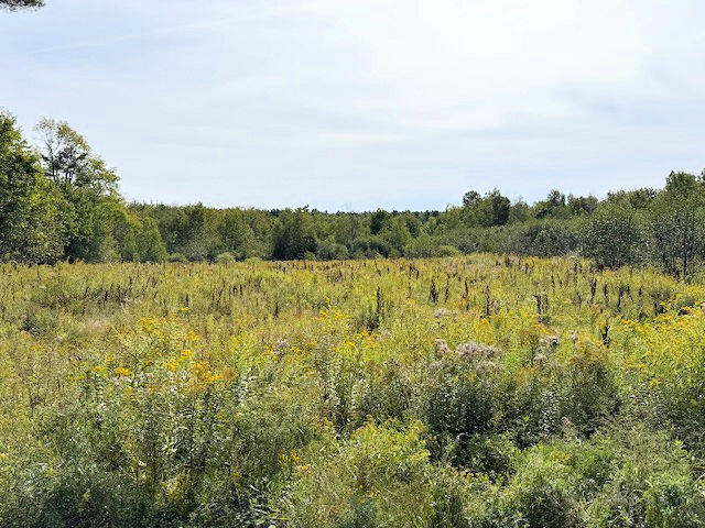 0 Trues Pond Road Liberty, ME 04949 - Photo 1 of 1
