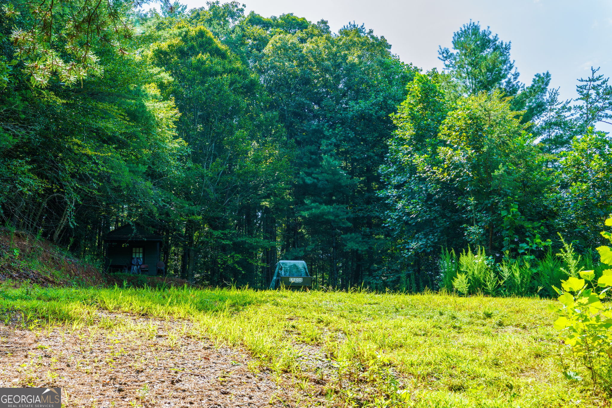 45 Green Cove Road Brasstown, NC 28902 - Photo 25 of 29 Gallery Image 25