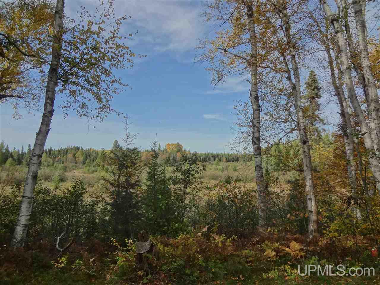 220 4 Corners Road Alpha, MI 49902 - Photo 15 of 34 Gallery Image 15