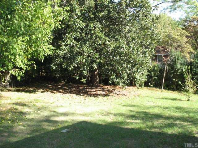 2315 Euston Street Raleigh, NC 27610 - Photo 3 of 11 Other