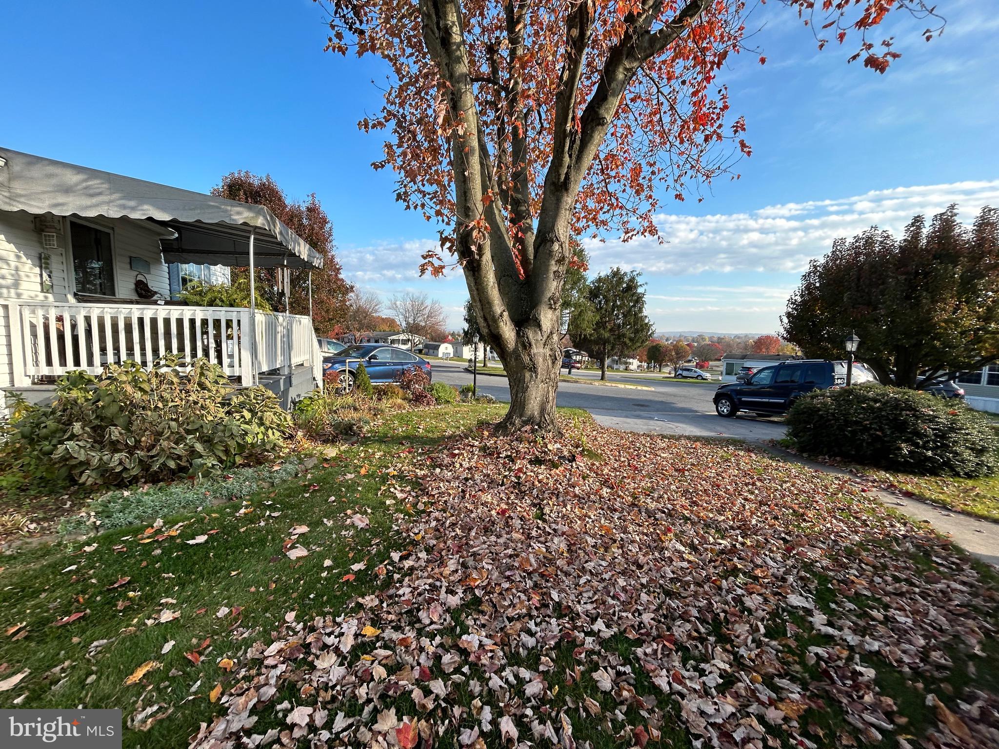 386 West Cedar Street Palmyra, PA 17078 - Photo 49 of 52 Front Yard