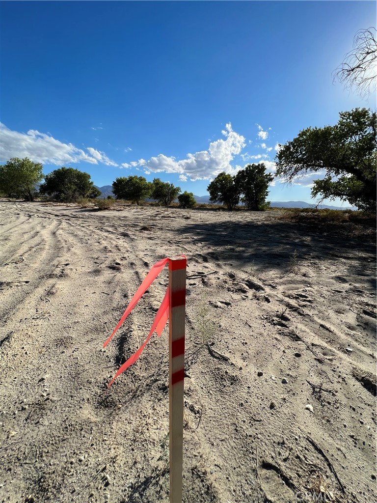 147 East Avenue R Palmdale, CA 93591 - Photo 3 of 3 a view of a wooden floor with a yard