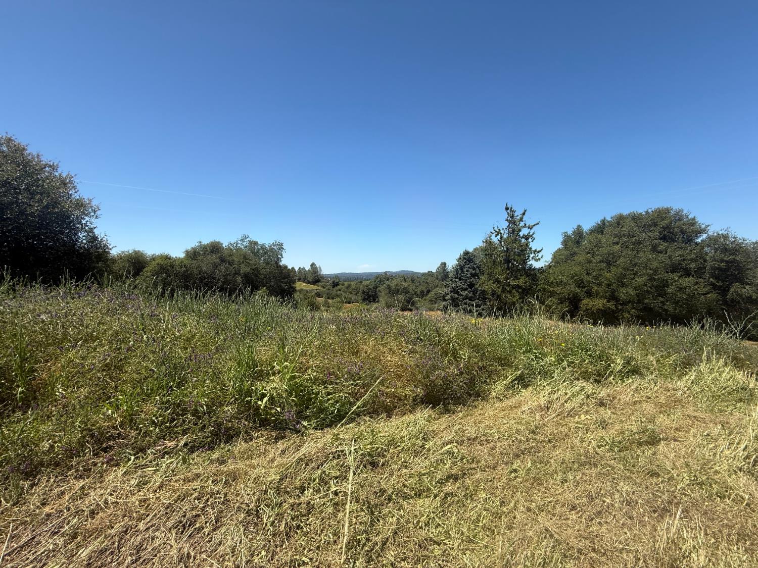 2322 Myrick Road Somerset, CA 95684 - Photo 8 of 30 a view of lake with green space