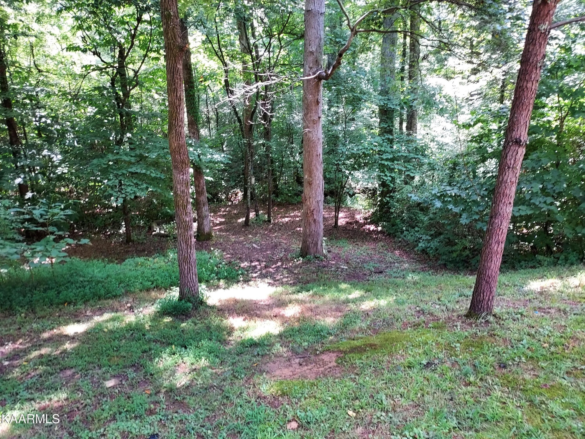 773 Finn Long Road Friendsville, TN 37737 - Photo 2 of 24 Gallery Image 2