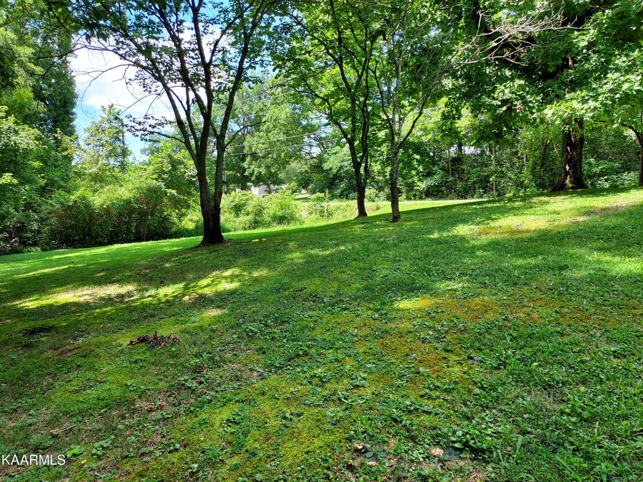 773 Finn Long Road Friendsville, TN 37737 - Photo 22 of 24 Gallery Image 22