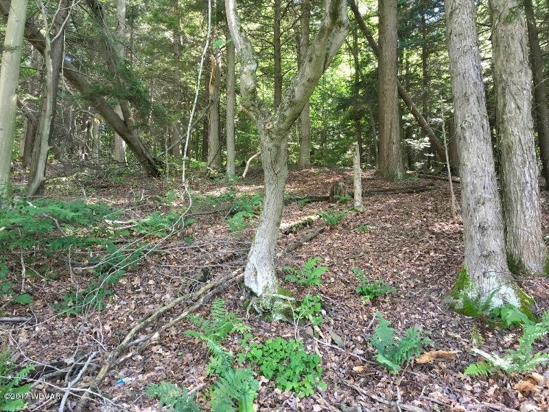 11163 49th Route Lawrenceville, PA 16929 - Photo 24 of 31 H-Land (6)