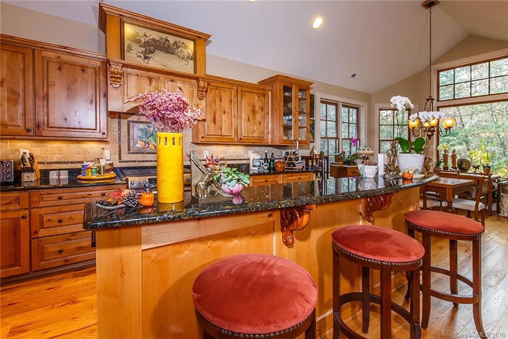764 Camptown Road Brevard, NC 28712 - Photo 9 of 24 Gallery Image 9