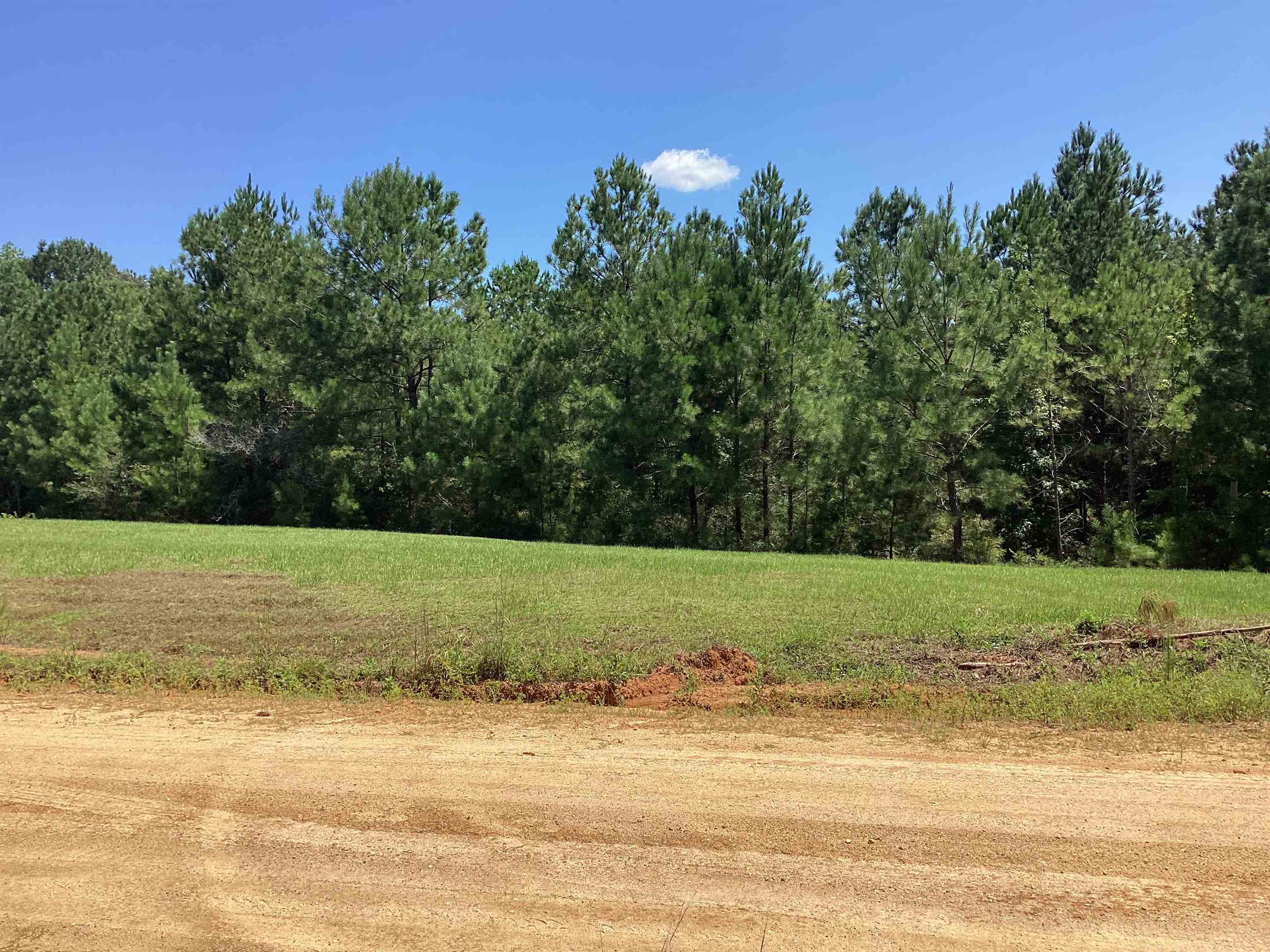 2.9 Jasper Road Dozier, AL 36028 - Photo 6 of 11 Gallery Image 6