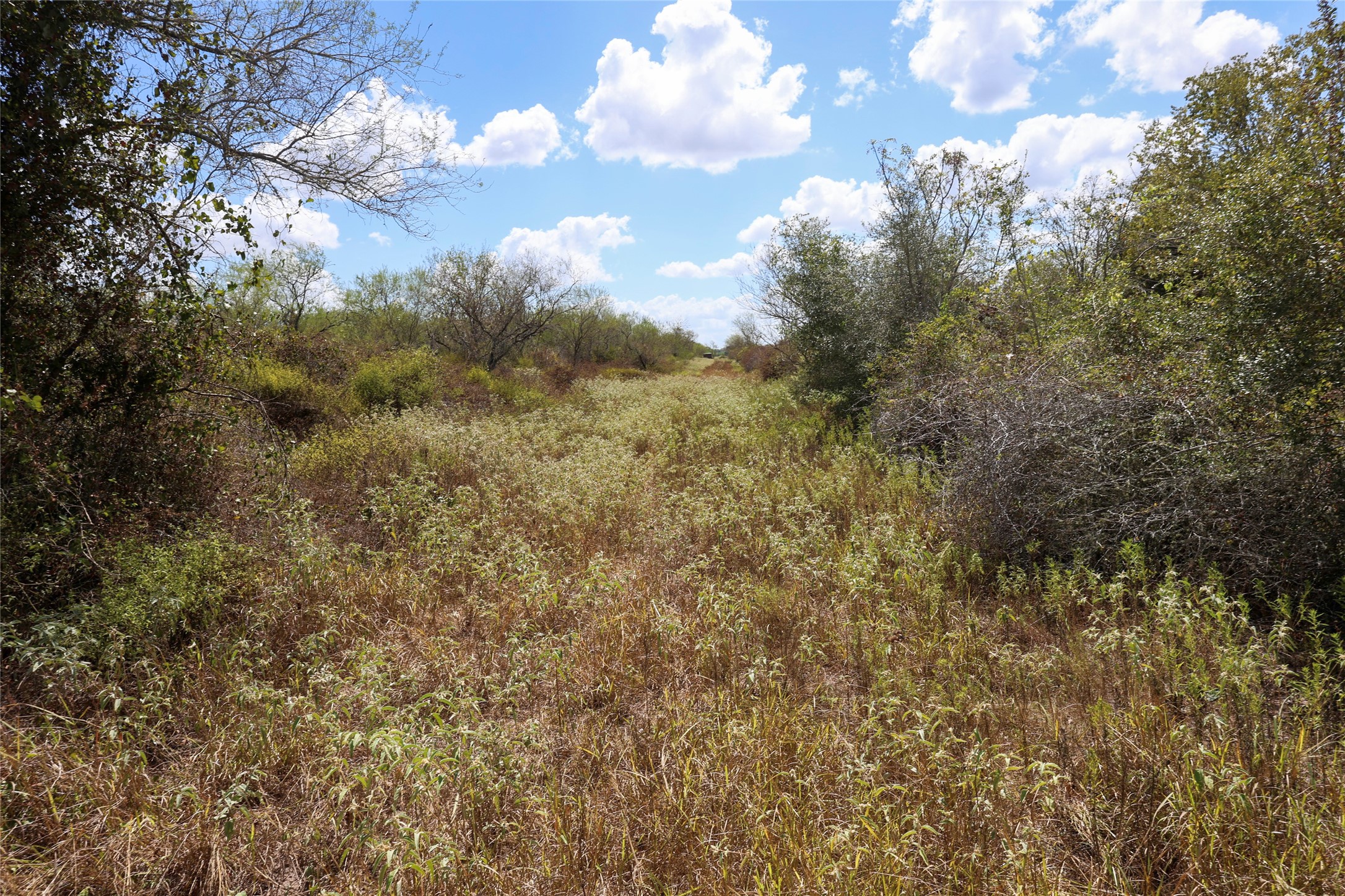 Tbd Parsons Road Victoria, TX 77904 - Photo 23 of 24 Gallery Image 23