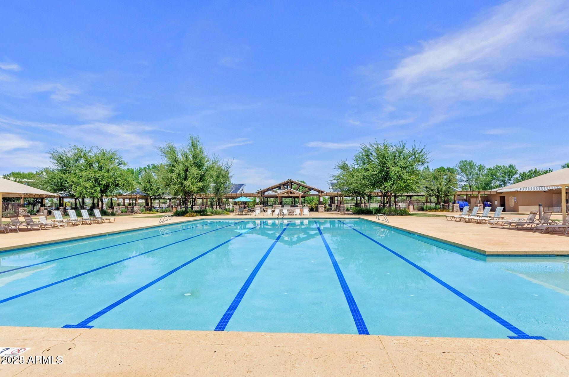 4094 East Rustler Way Gilbert, AZ 85297 - Photo 28 of 34 a view of swimming pool with outdoor seating and plants