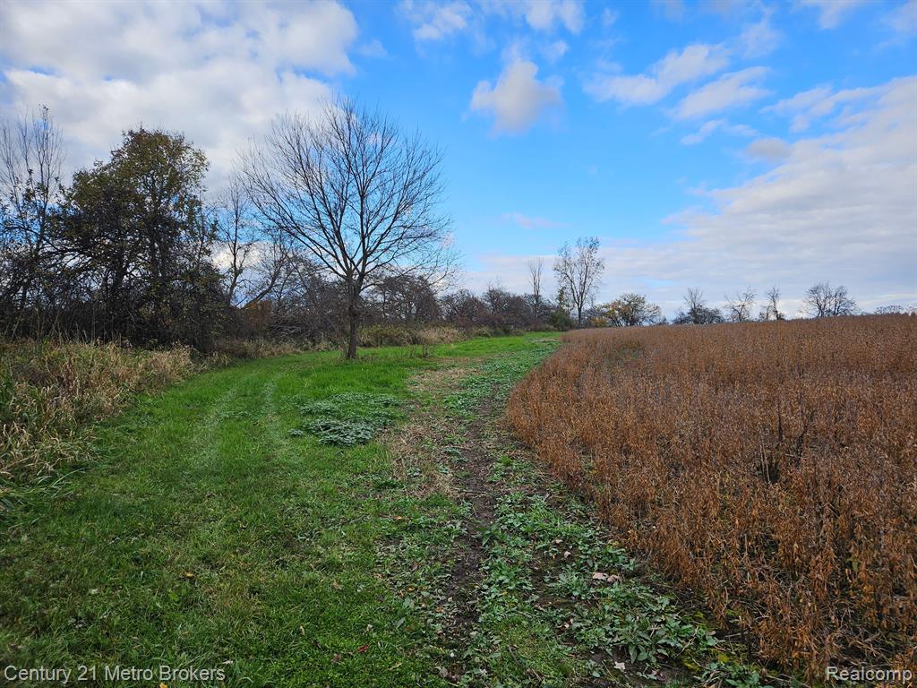 4153 North Lake Road Columbiaville, MI 48421 - Photo 25 of 61 Gallery Image 25