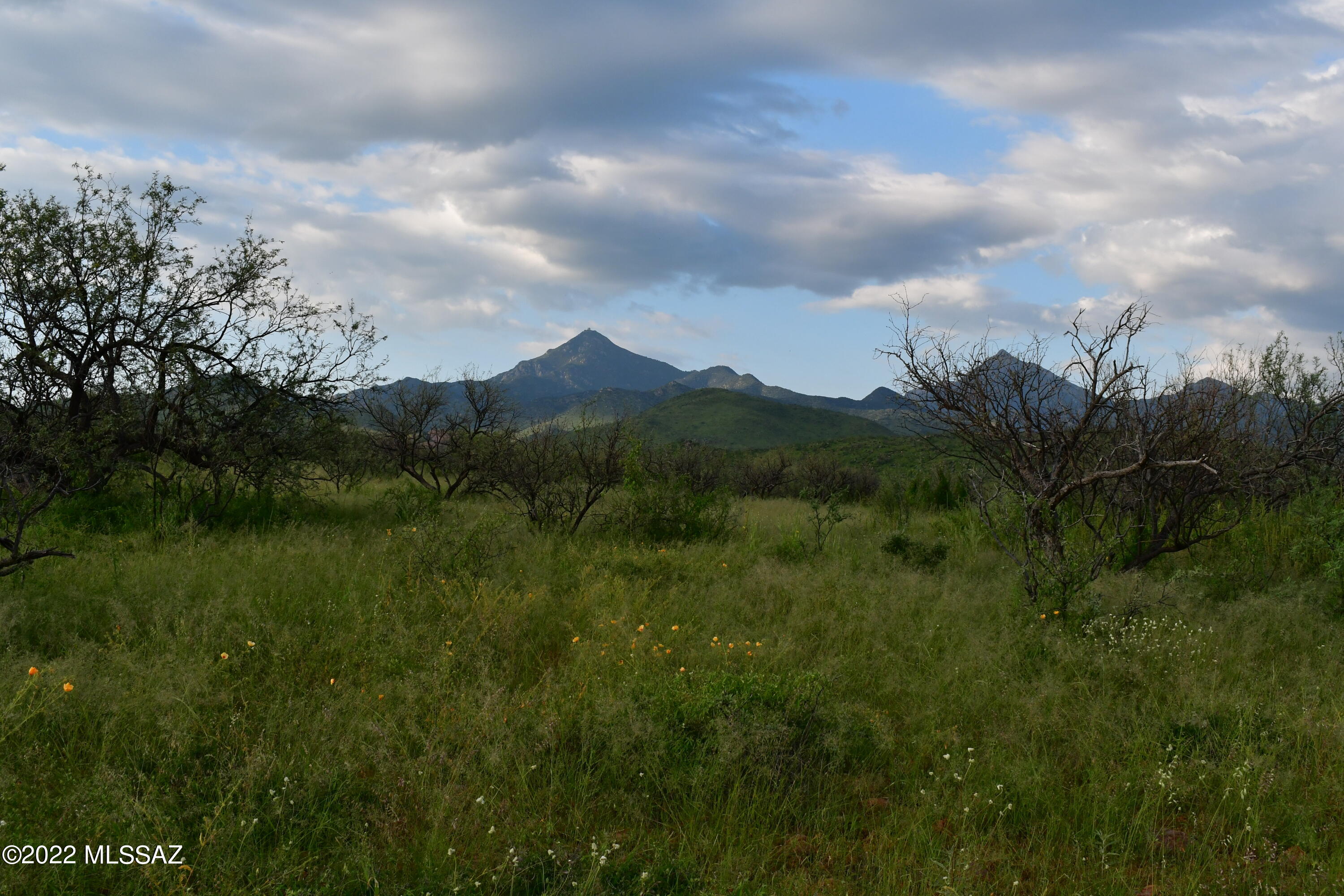 Tbd Alta Vista Court, Unit 22/1 Rio Rico, AZ 85648 - Photo 9 of 33