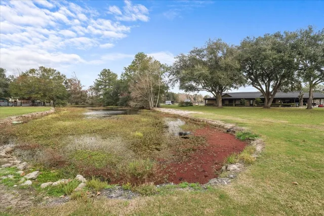 a view of a yard with swimming pool and trees