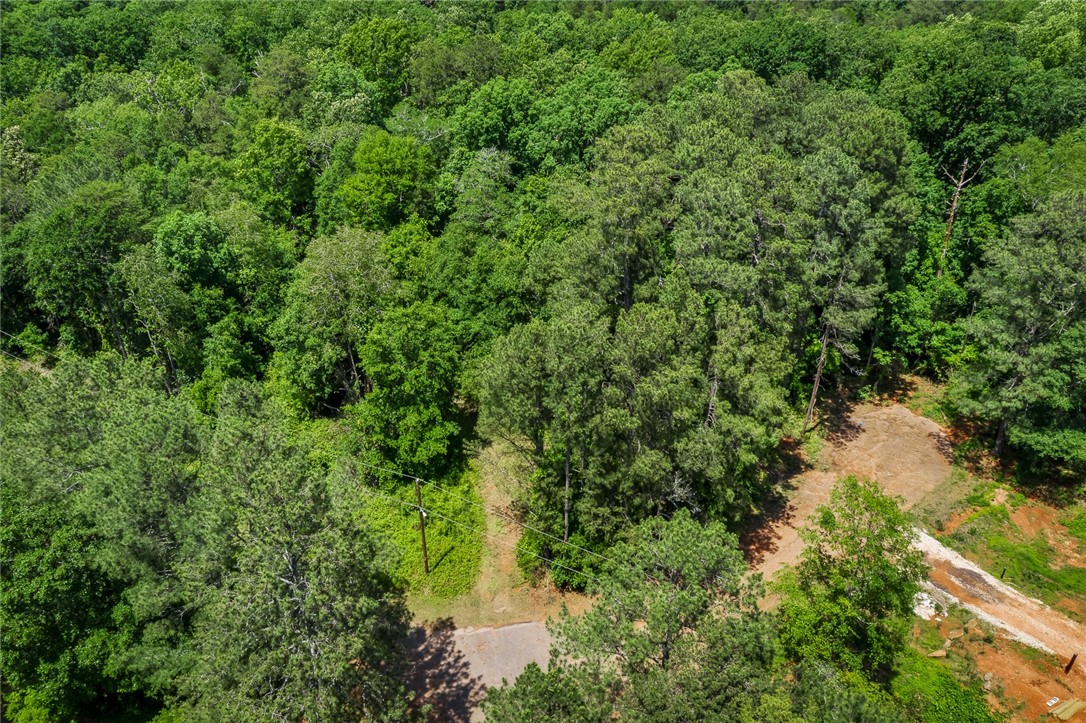 Lot 3 Gaineswood Road Anderson, SC 29625 - Photo 4 of 15