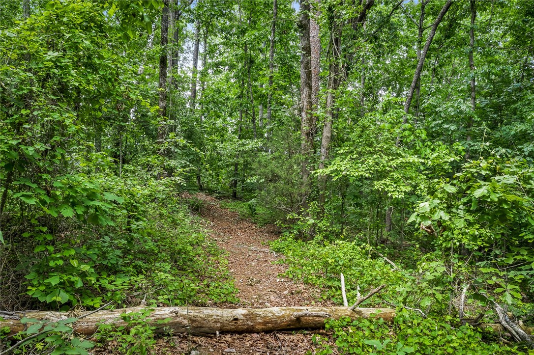 Lot 3 Gaineswood Road Anderson, SC 29625 - Photo 5 of 15