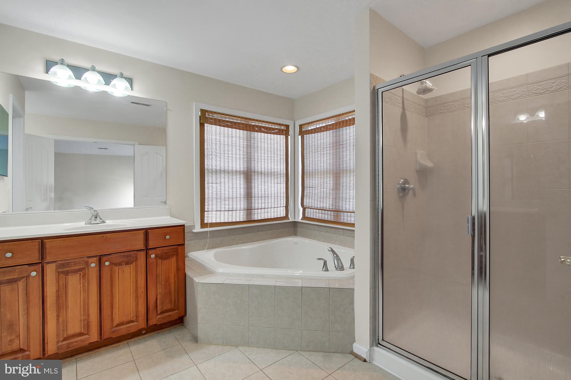 273 Ailsa Drive Rising Sun, MD 21911 - Photo 18 of 30 Master Suite Bath-Soaking Tub