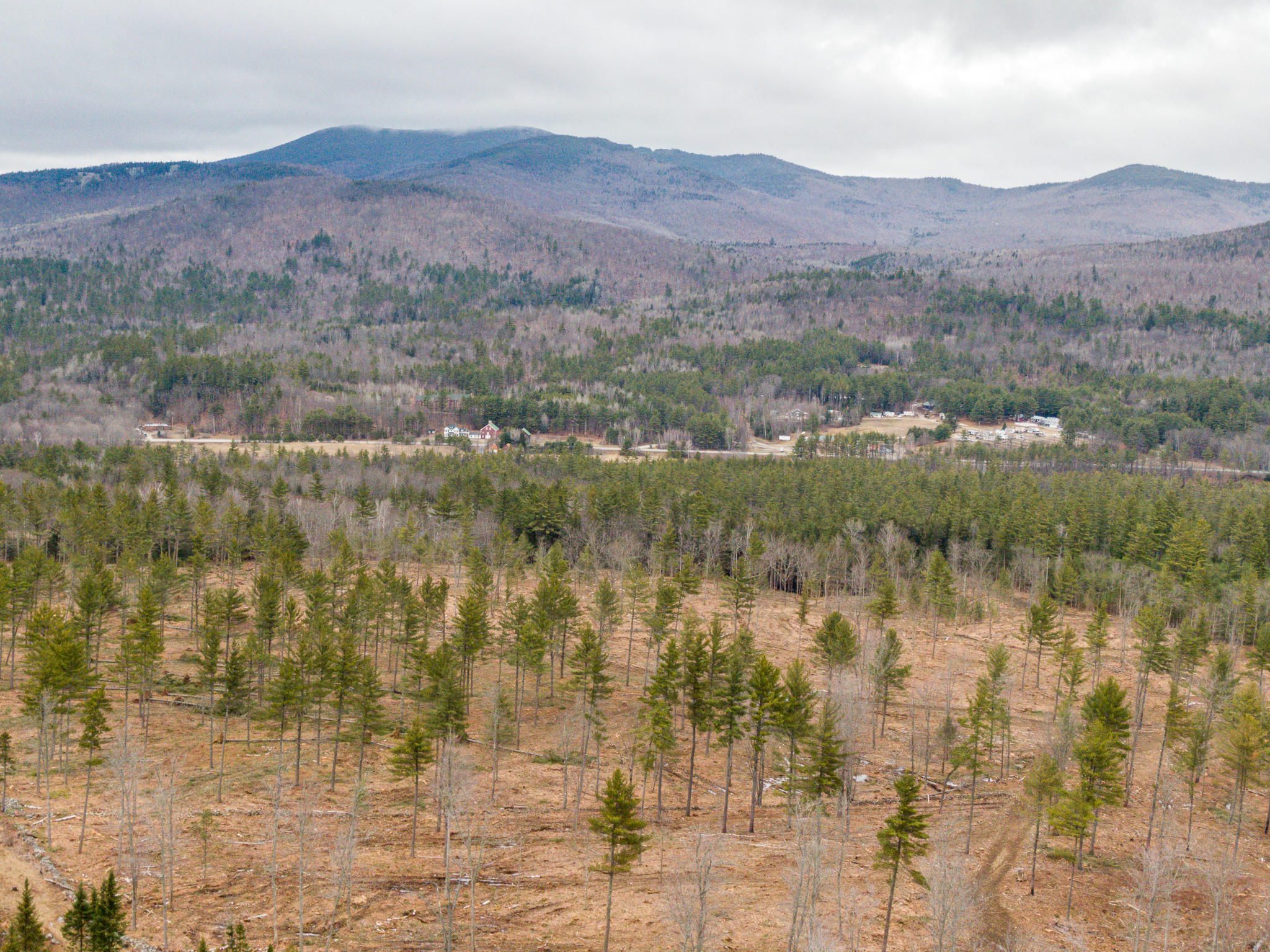 Tbd Swan Hill Road Bethel, ME 04217 - Photo 14 of 20 Swan Hill Lot-16