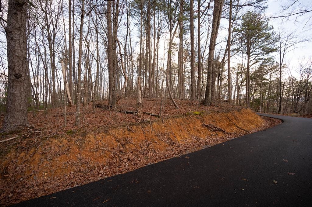 3 Penny Way Sevierville, TN 37862 - Photo 4 of 9