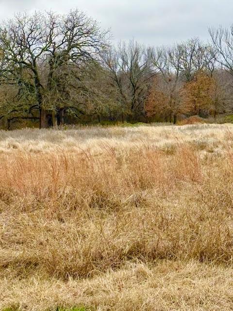 702 County Road 3597 Boyd, TX 76023 - Photo 17 of 19 a view of yard covered with snow