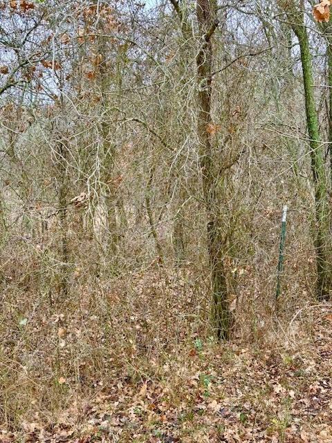 702 County Road 3597 Boyd, TX 76023 - Photo 18 of 19 a close up of a wall