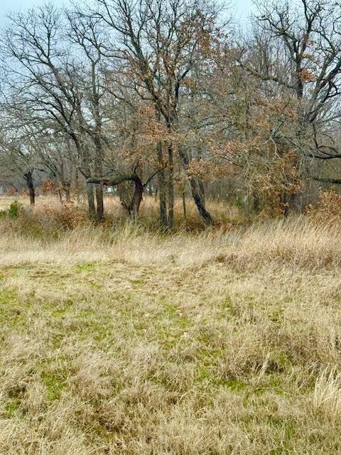 702 County Road 3597 Boyd, TX 76023 - Photo 2 of 19 a view of a lake view
