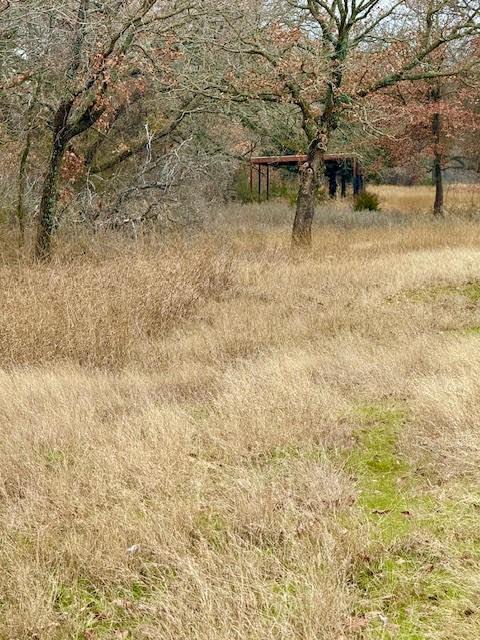 702 County Road 3597 Boyd, TX 76023 - Photo 4 of 19 a view of open space with a yard