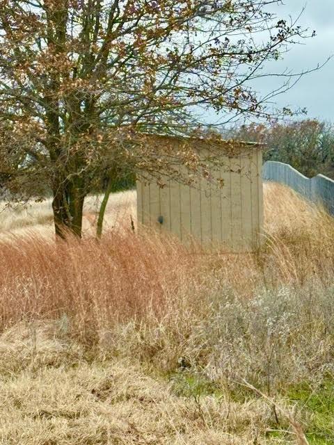 702 County Road 3597 Boyd, TX 76023 - Photo 5 of 19