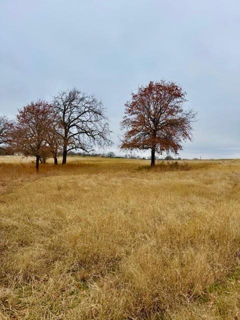 702 County Road 3597 Boyd, TX 76023 - Photo 9 of 19