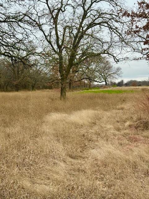 702 County Road 3597 Boyd, TX 76023 - Photo 10 of 19