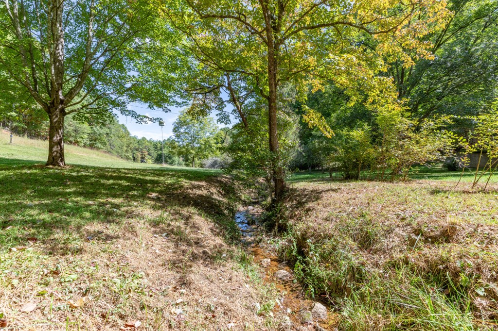 1016 Mull Road Morganton, GA 30560 - Photo 41 of 56