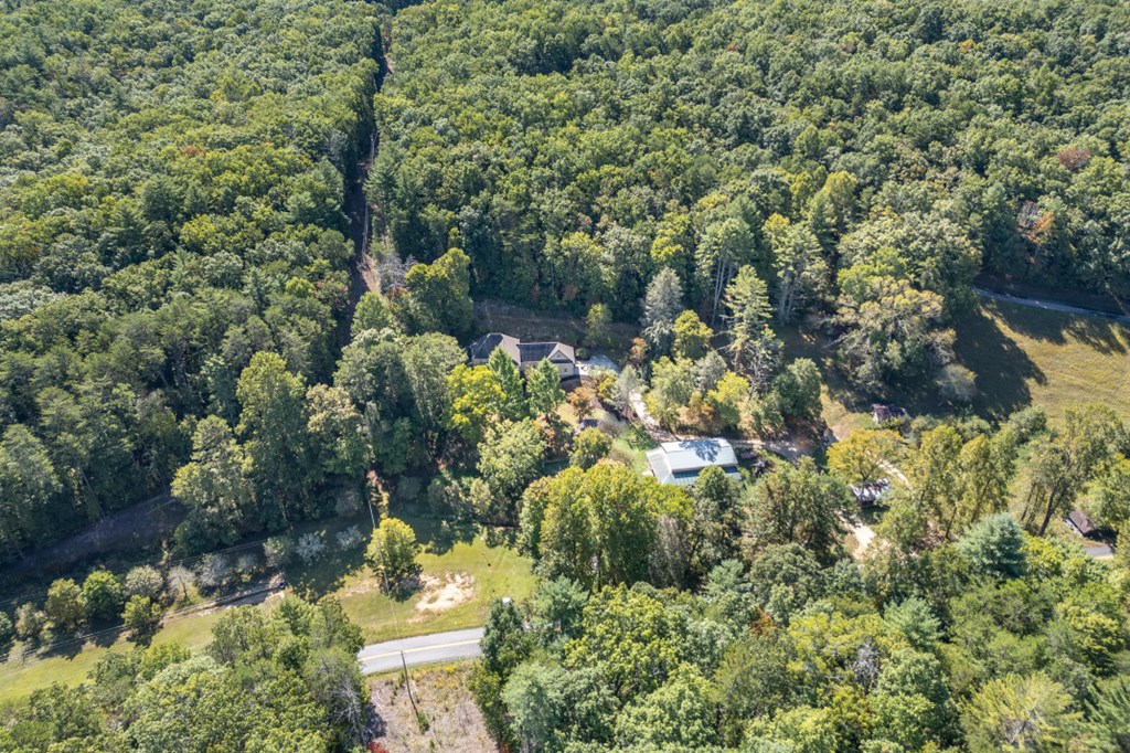 1016 Mull Road Morganton, GA 30560 - Photo 47 of 56