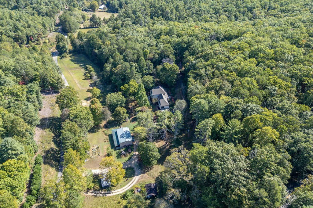 1016 Mull Road Morganton, GA 30560 - Photo 49 of 56