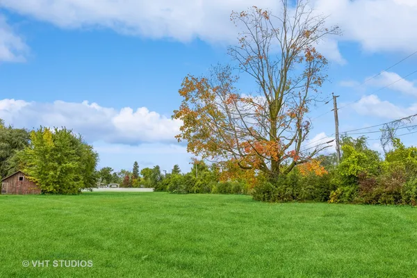 a view of a field with large trees