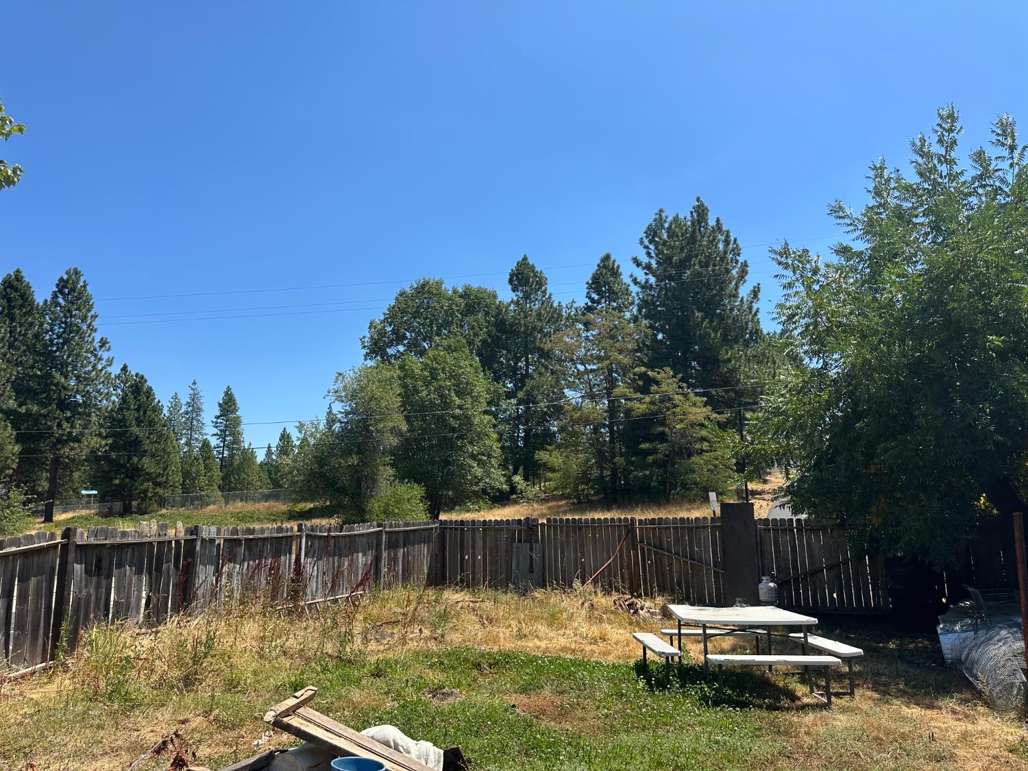 4550 Moran Road Avery, CA 95224 - Photo 8 of 31 a view of swimming pool with a yard