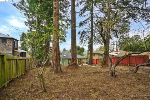 a view of a park with large trees