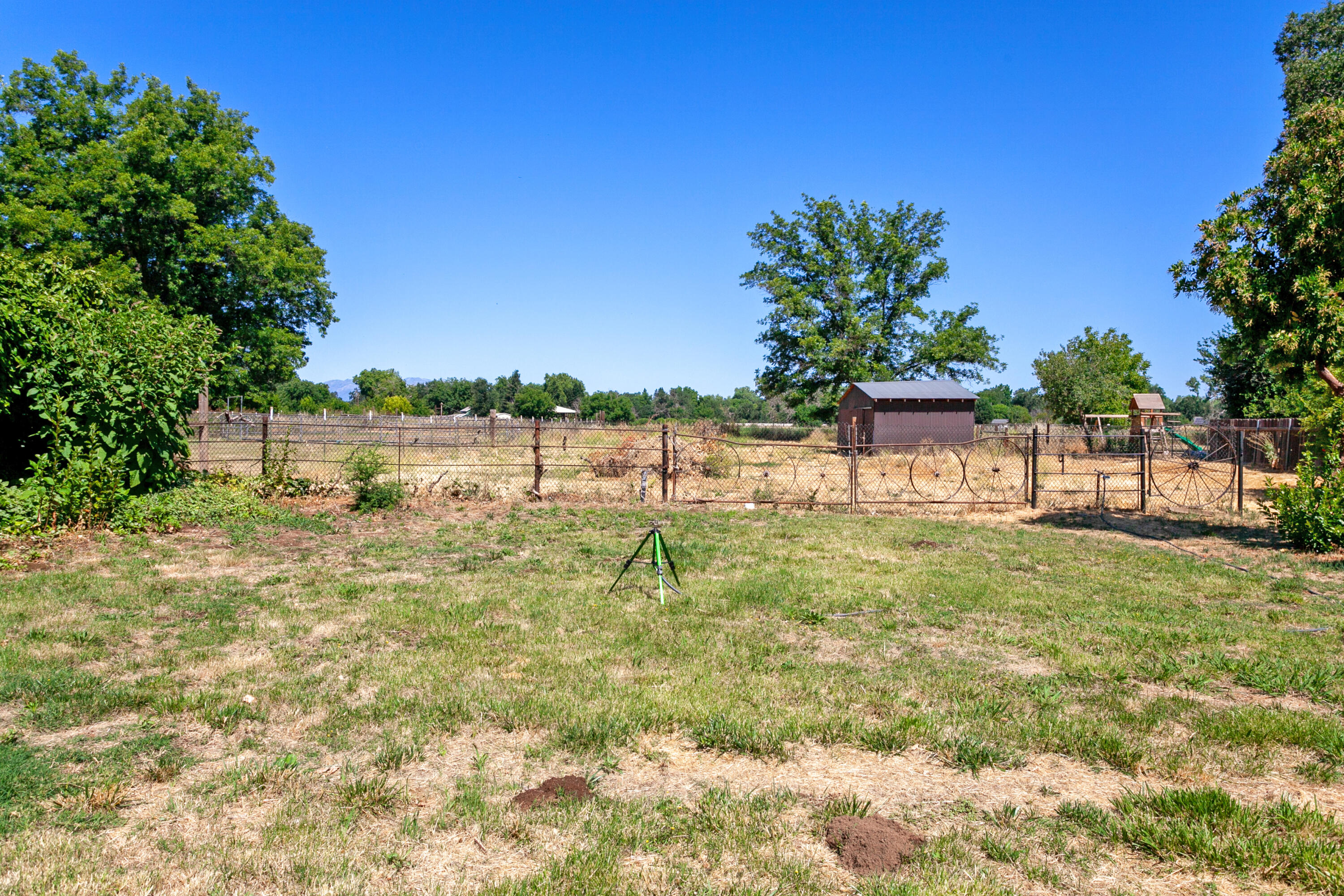 5858 Deschutes Road Anderson, CA 96007 - Photo 22 of 30 a view of yard with grass and a trees