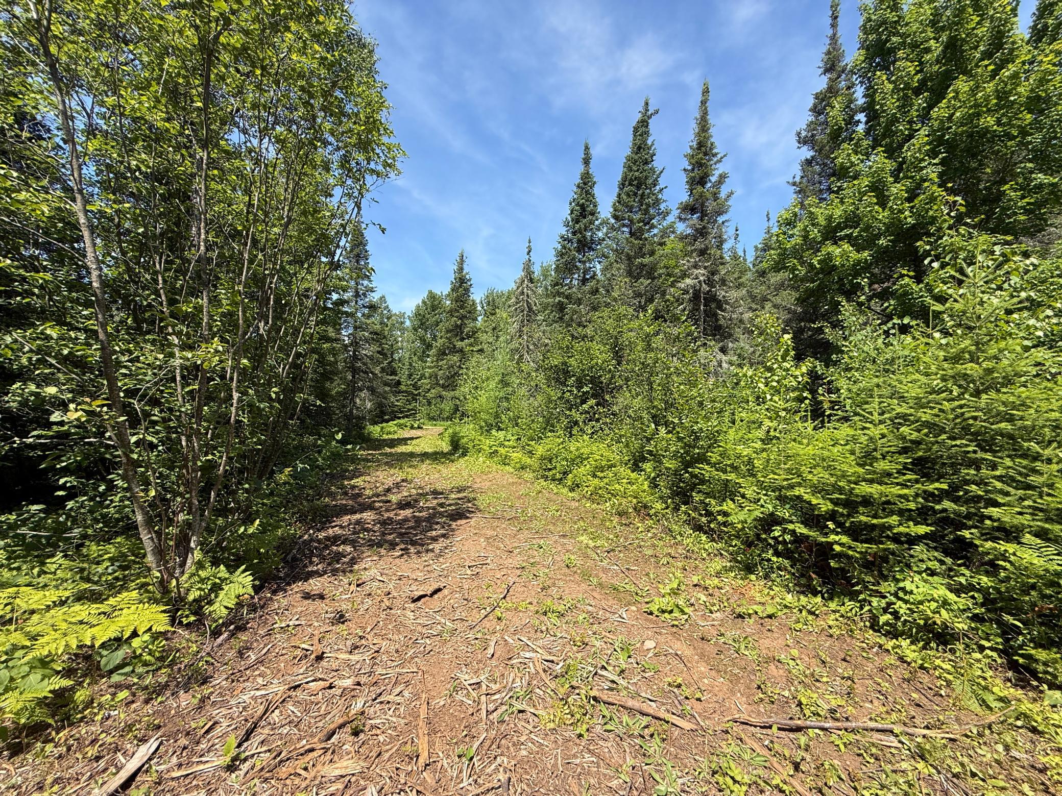 Tbd Arnold Road Duluth, MN 55803 - Photo 23 of 48 Gallery Image 23