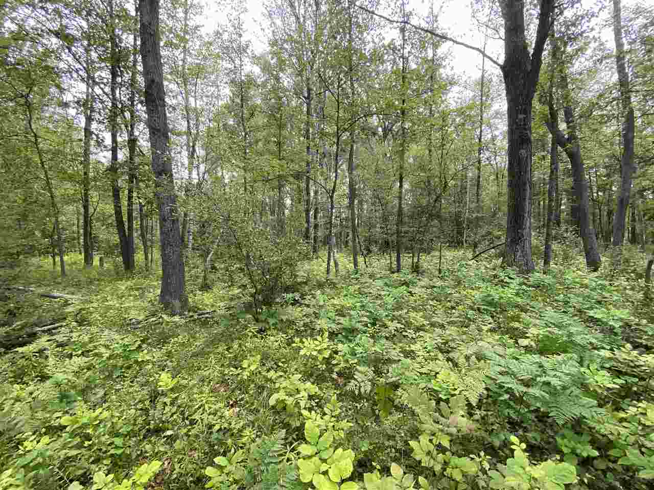 0 Briggs Road Omer, MI 48749 - Photo 20 of 45