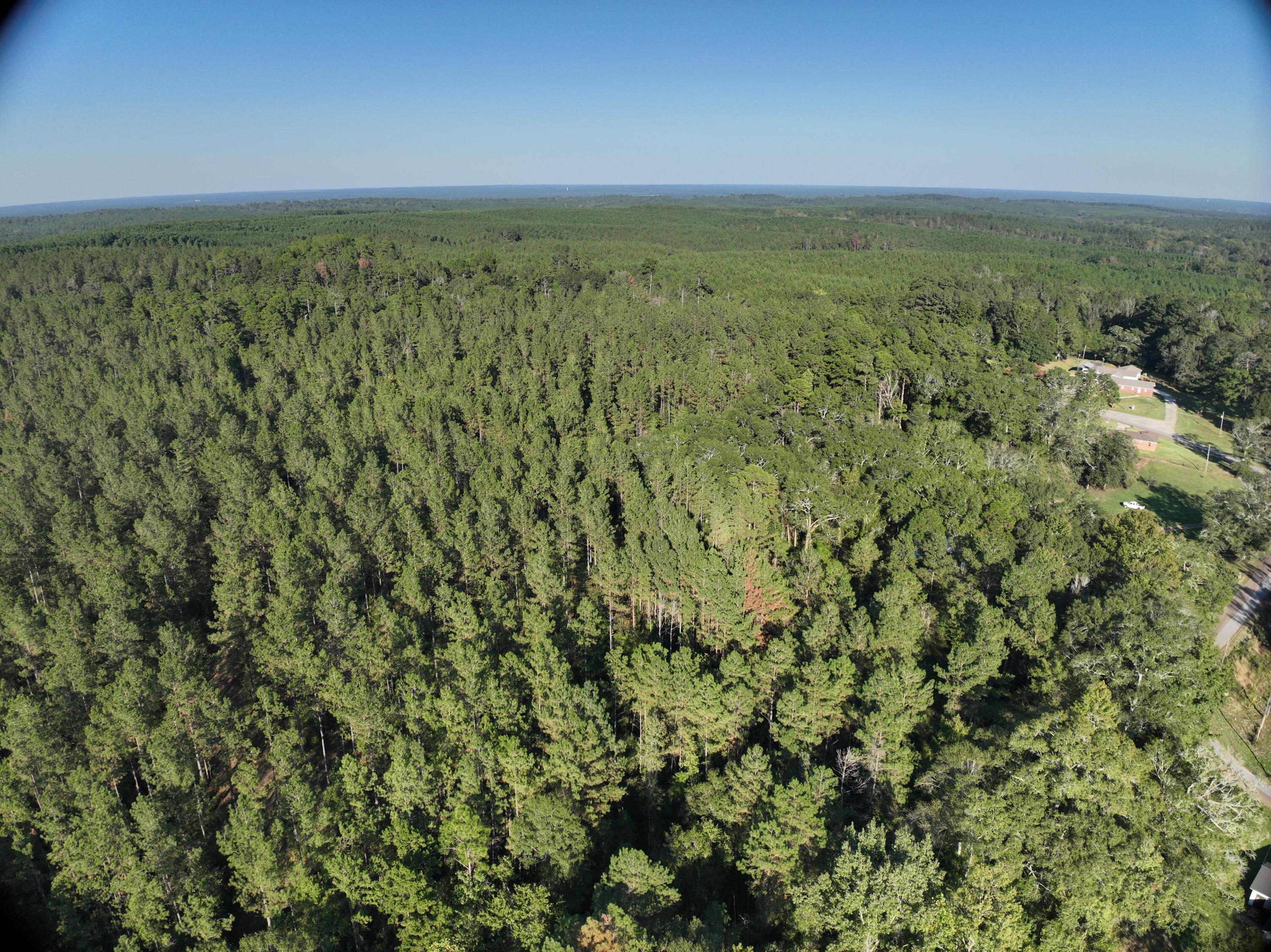 Tbd Holly Springs Road Foxworth, MS 39483 - Photo 20 of 22 DJI_20251015163429_0030_V