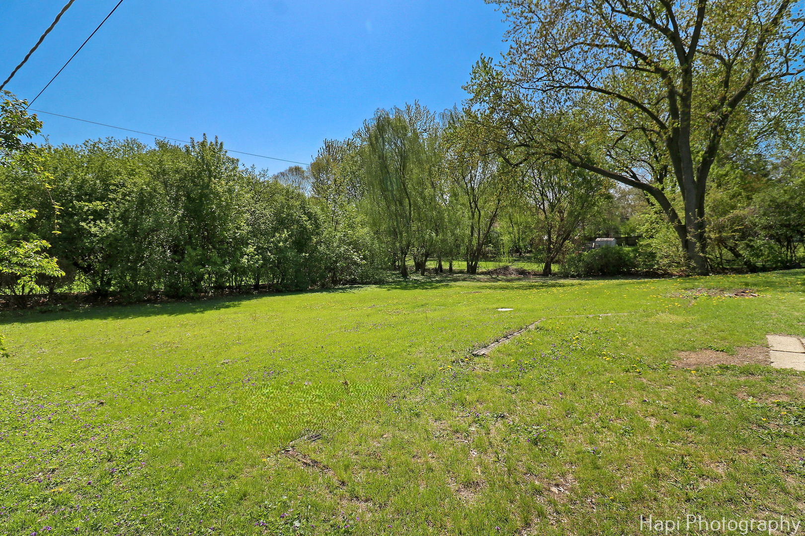539 South Plum Grove Road Palatine, IL 60067 - Photo 30 of 33 a view of a field with an trees in the background