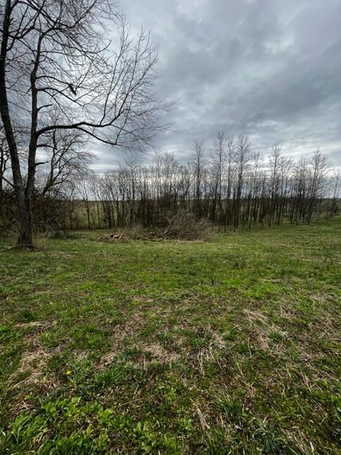 0 Sexton Road Harrodsburg, KY 40330 - Photo 5 of 5 IMG_0437