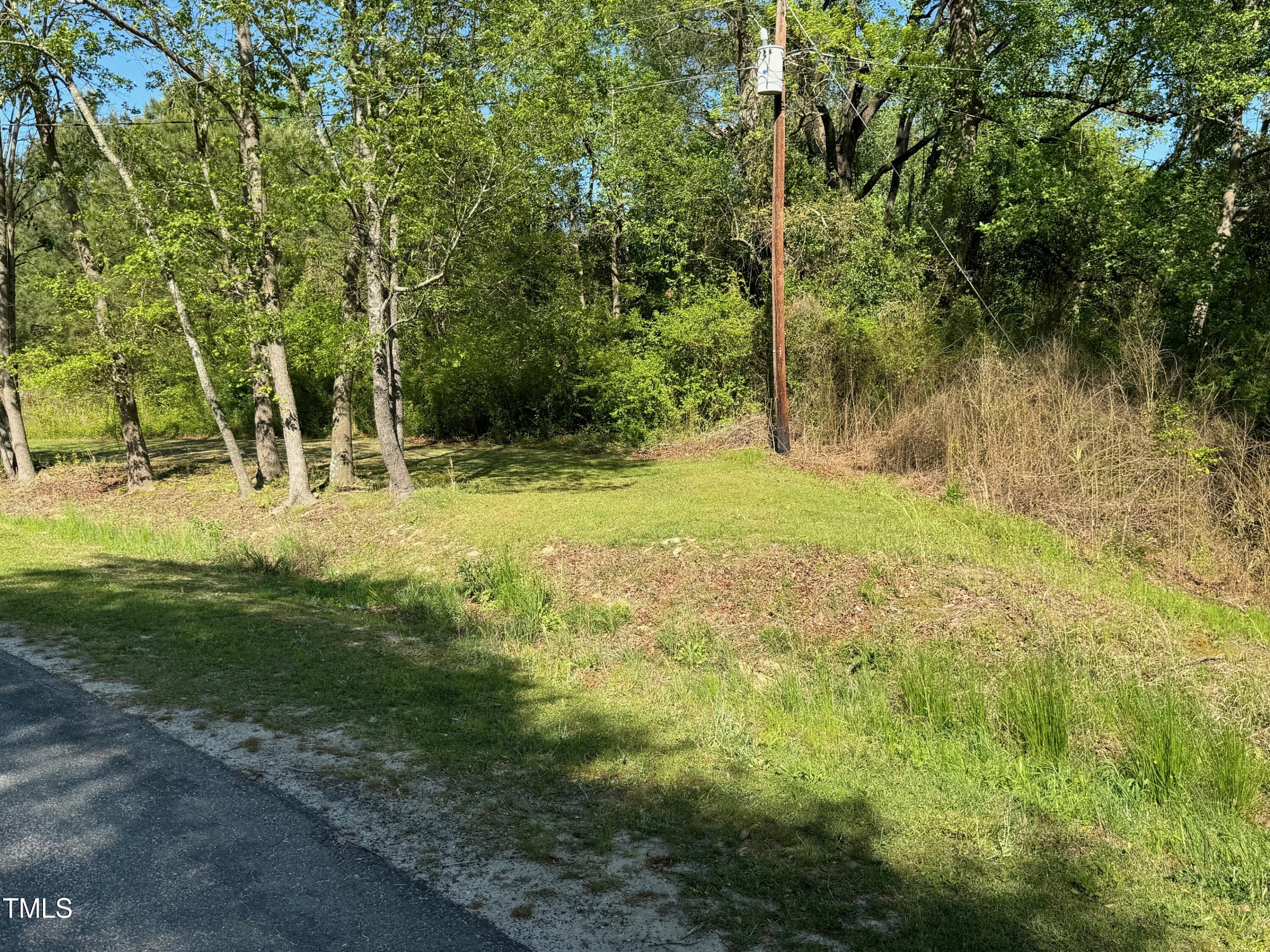 8188 Norris Road Dunn, NC 28334 - Photo 10 of 17 IMG_3334