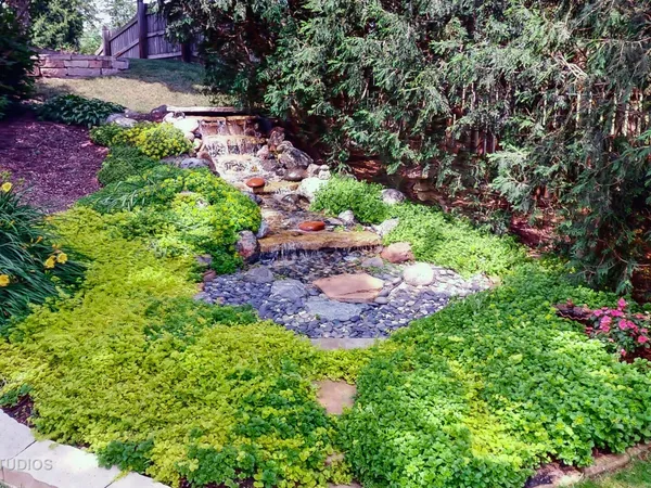 a view of a garden with plants