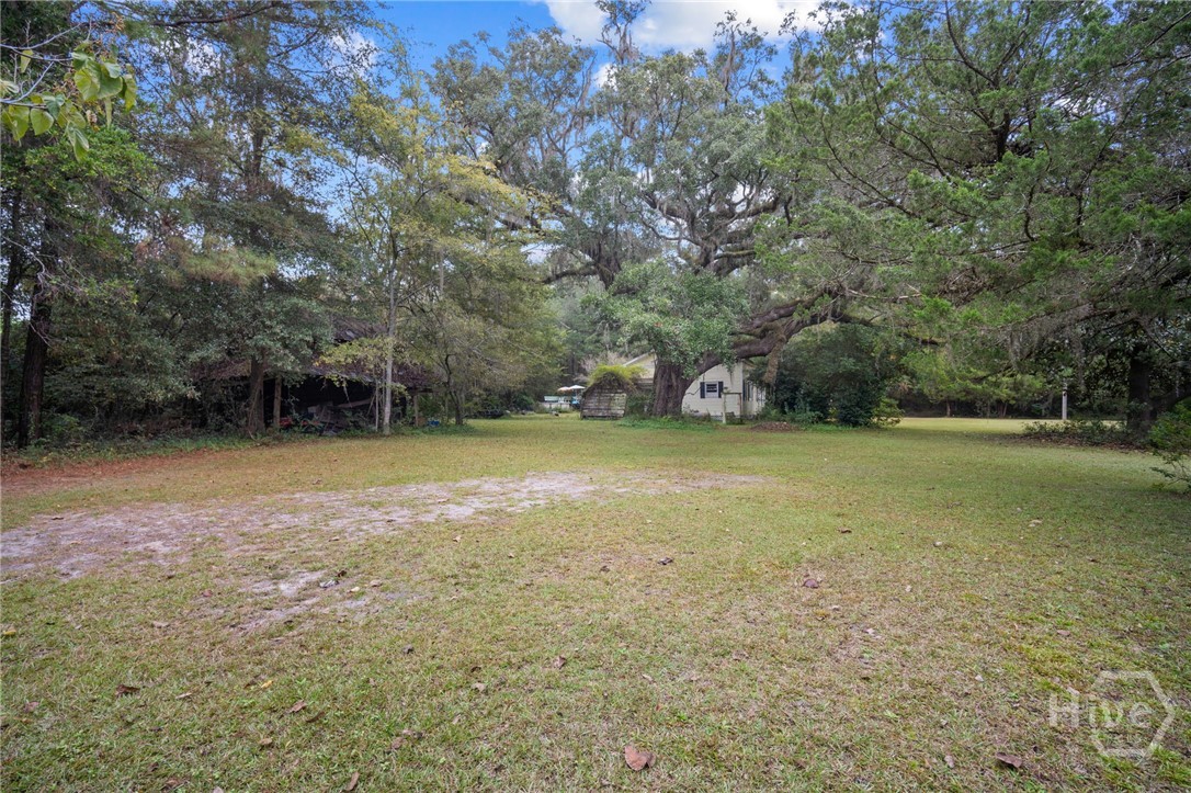 107 Kildaire Road Oliver, GA 30446 - Photo 32 of 45 Gallery Image 32