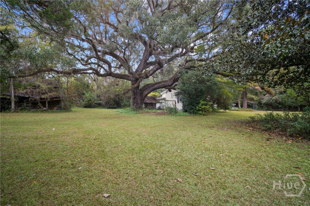 107 Kildaire Road Oliver, GA 30446 - Photo 33 of 45 Gallery Image 33