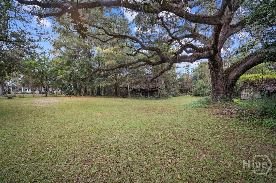 107 Kildaire Road Oliver, GA 30446 - Photo 34 of 45 Gallery Image 34