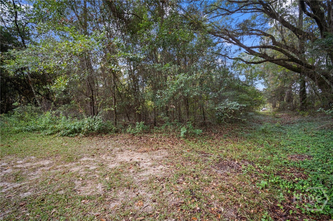 107 Kildaire Road Oliver, GA 30446 - Photo 42 of 45 Gallery Image 42