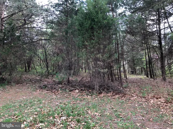 $115,000 | Lot A Nadenbousch Lane, Inwood, WV 25428