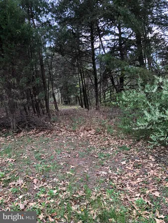 $115,000 | Lot A Nadenbousch Lane, Inwood, WV 25428