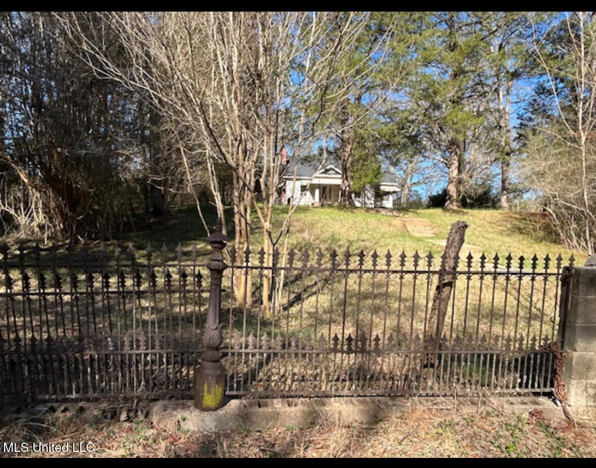 170 Camden Road Camden, MS 39045 - Photo 11 of 18 IMG_1830